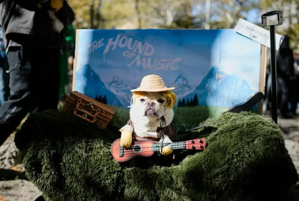 28th Annual Great PUPkin Dog Costume Contest