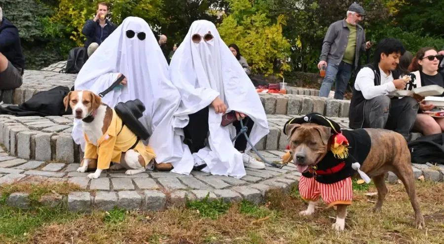 Socrates Park Halloween Harvest Festival