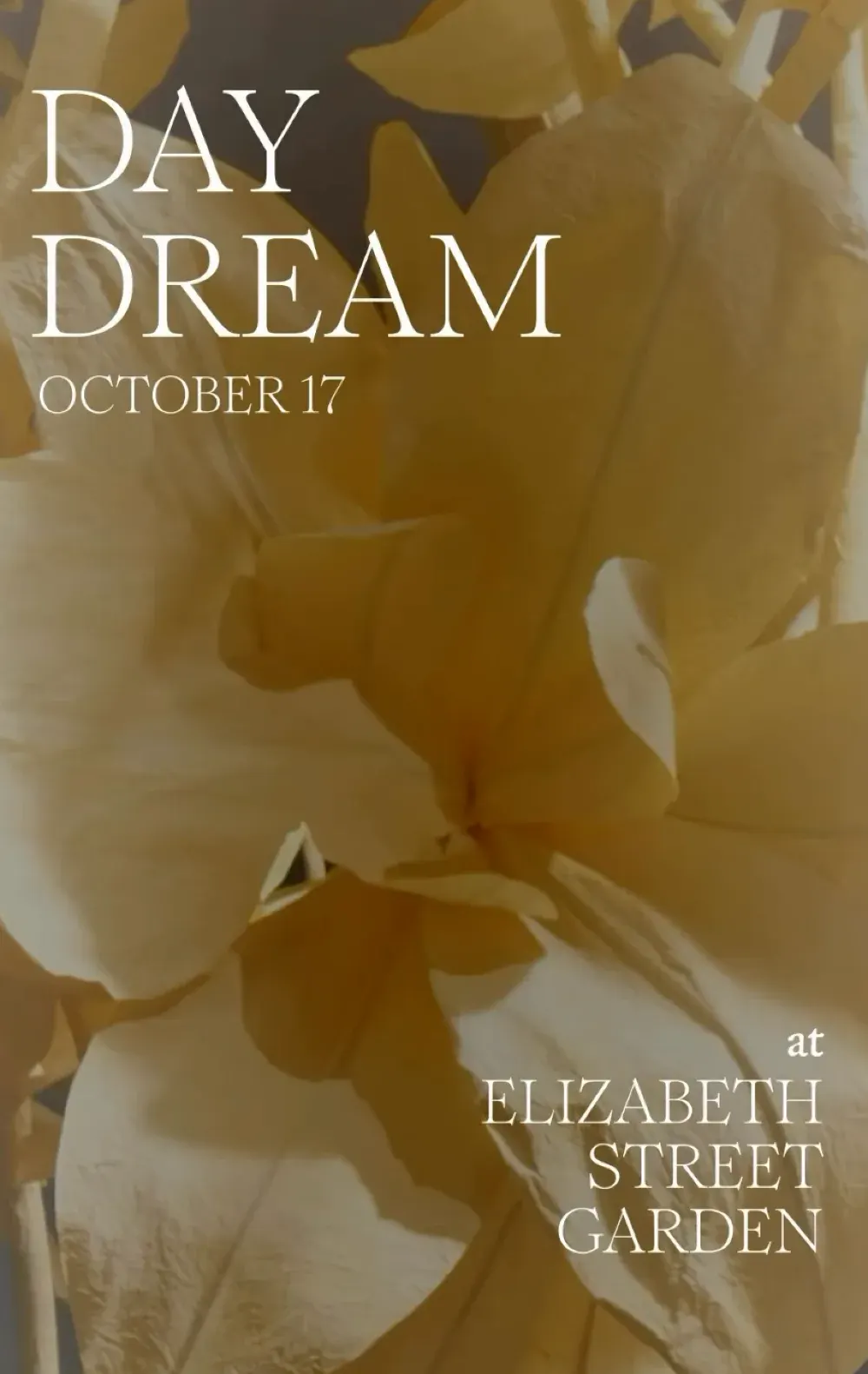 DAYDREAM by Sixpenny Home