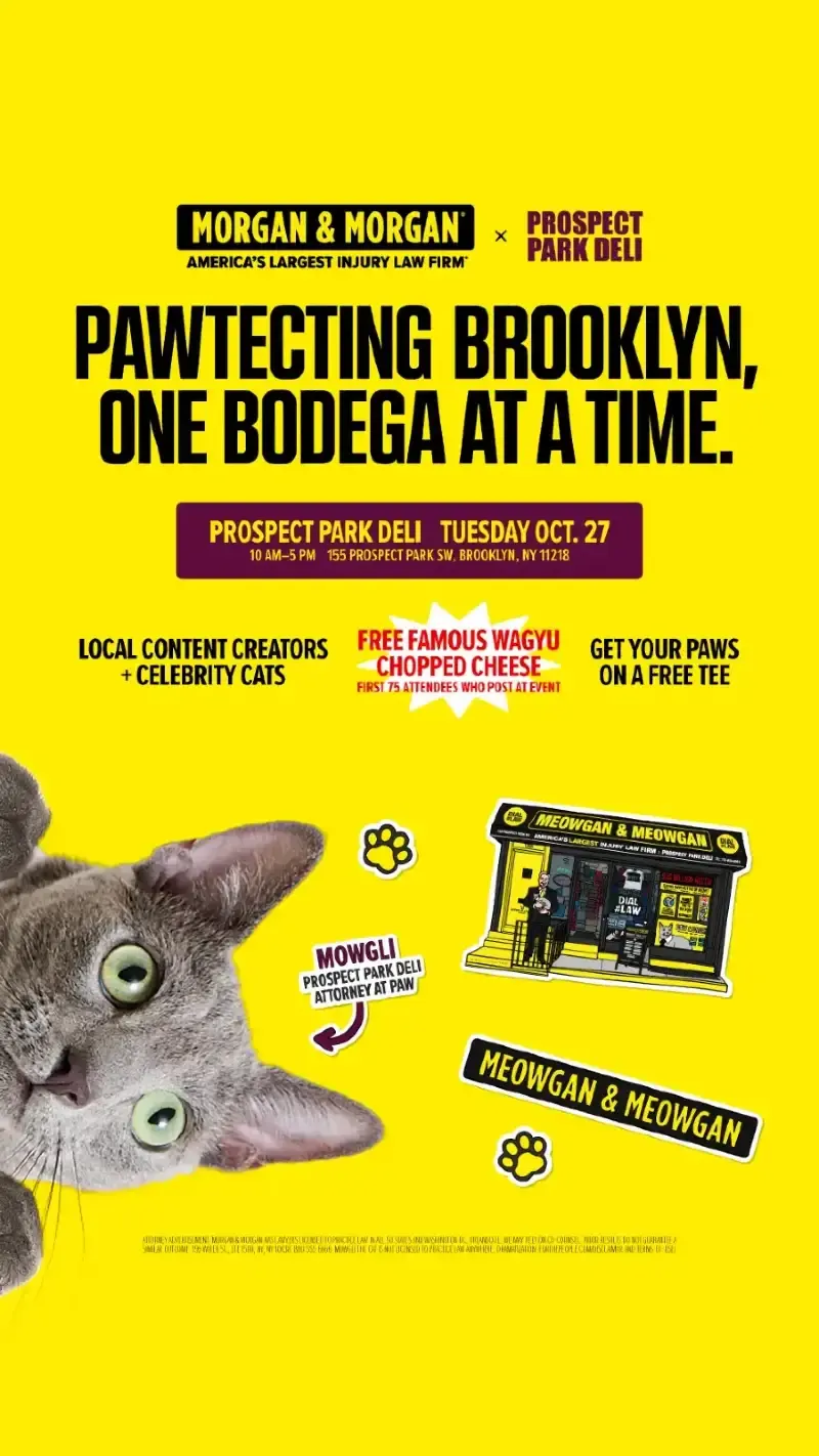 Meowgan & Meowgan Bodega