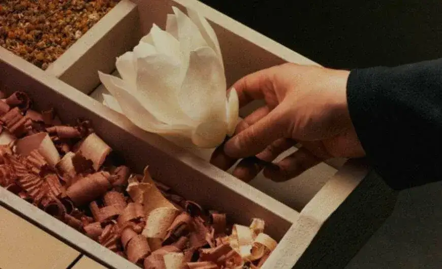 Aesop Fragrance Workshops