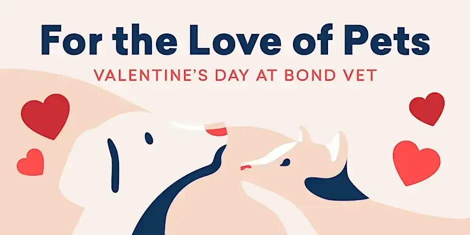 For the Love of Pets with Bond Vet and Camp Canine