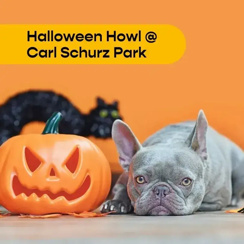 Halloween Howl & Healthy Hound Fair at Carl SCHURZ Park