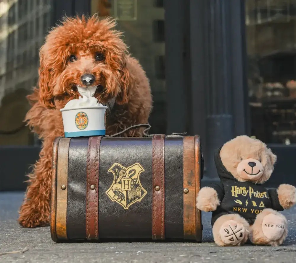 Harry Potter Shop New York National Pet Day