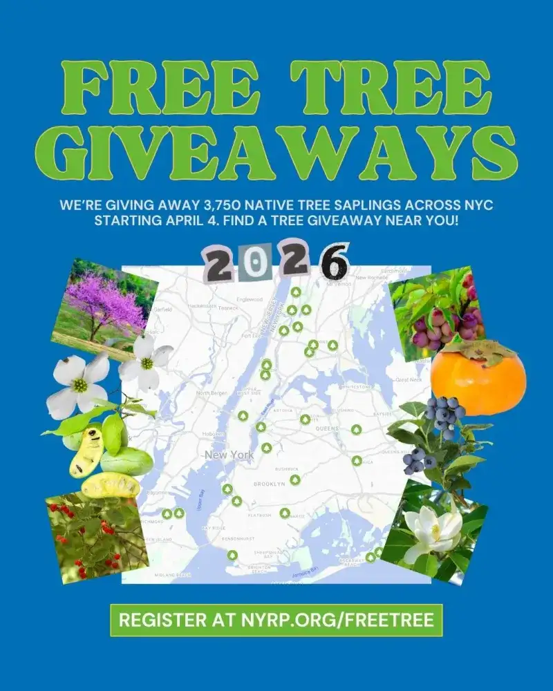 New York Restoration Project Free Tree Giveaway