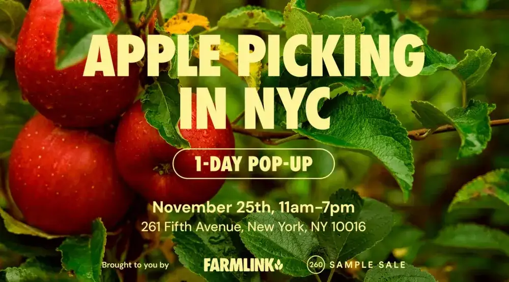 The Farmlink Project NYC Apple Orchard