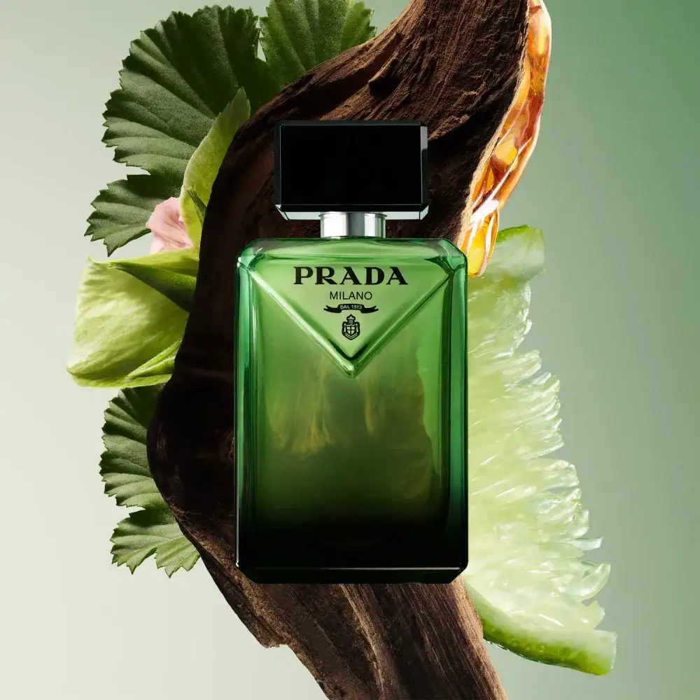 Prada Paradigme Pop-Up