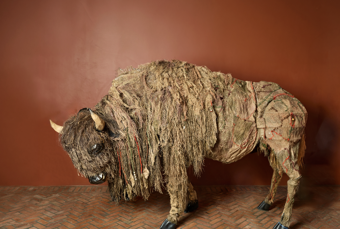 Return of the Buffalo: Tatanka Owe Akupi