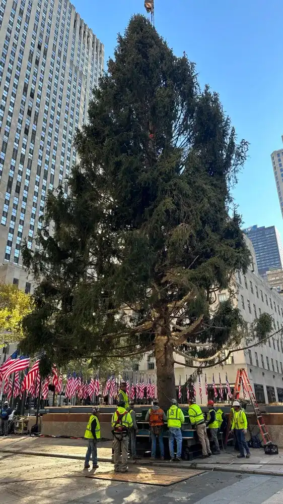 Rockefeller Center Meet the Tree Day