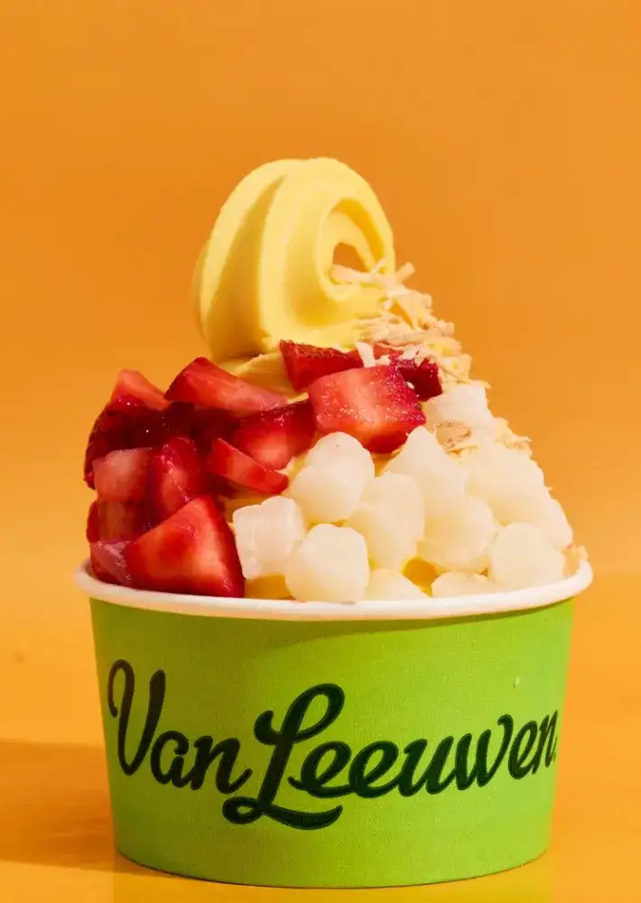 Van Leeuwen Rockefeller Center $1 Froyo