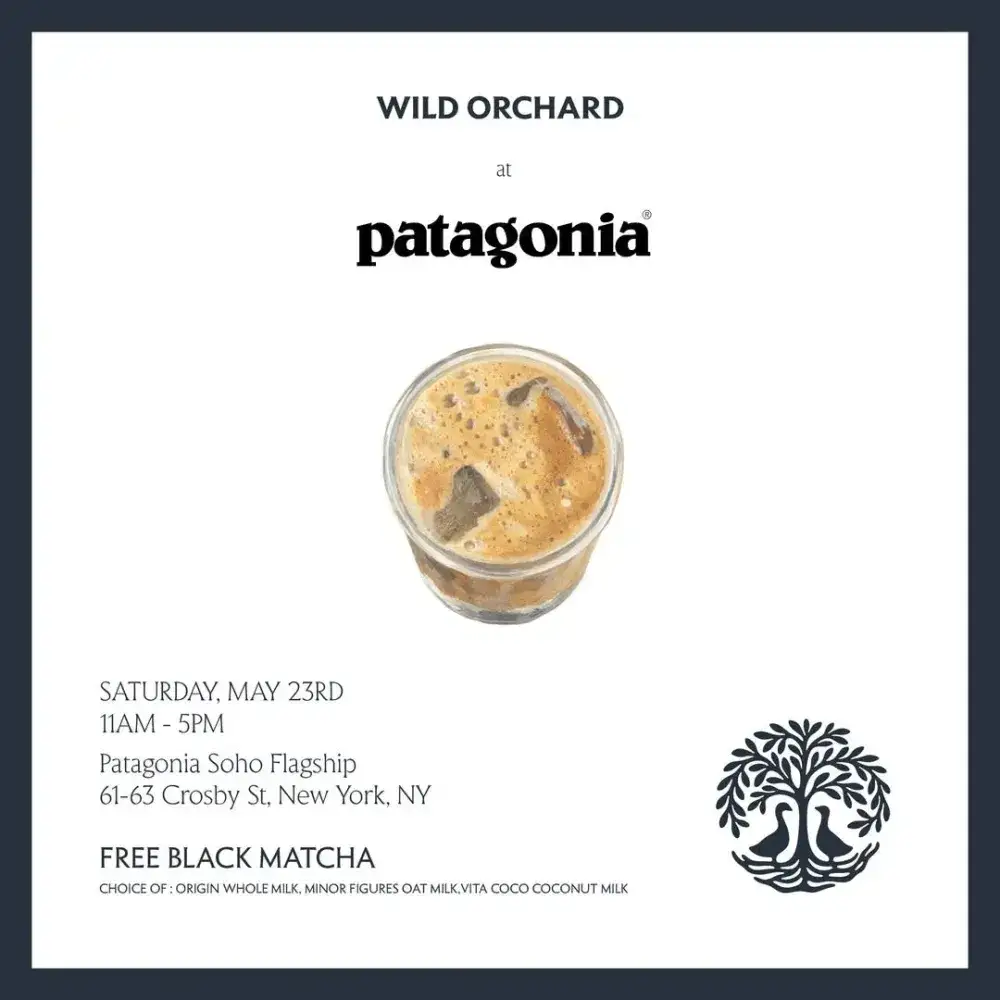 Wild Orchard at Patagonia