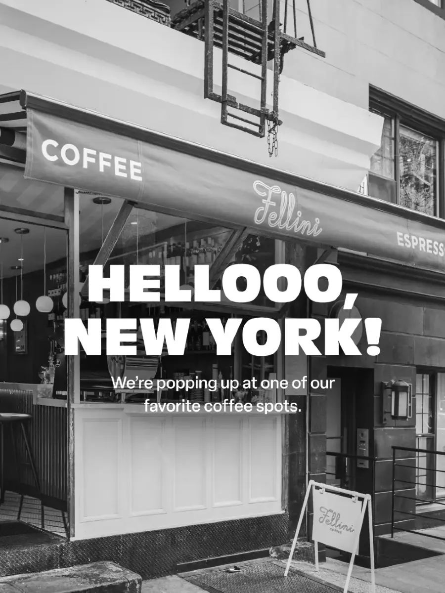Divi x Fellini Coffee