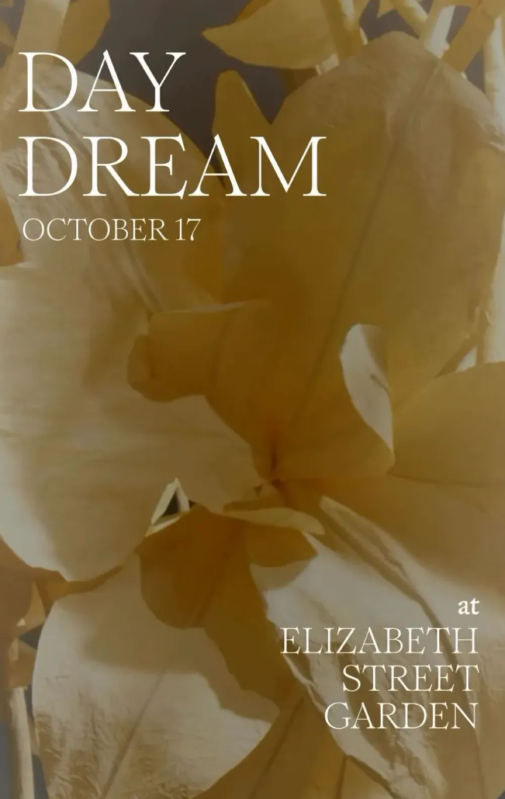 DAYDREAM by Sixpenny Home