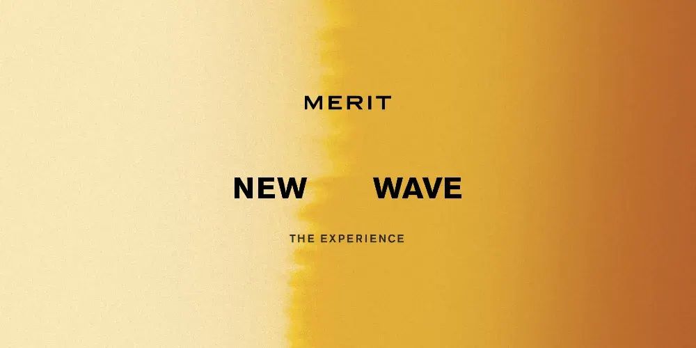 MERIT New Wave, The Experience